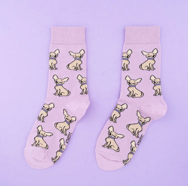 Chaussettes Chihuahua
